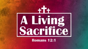 Living Sacrifice 16.9