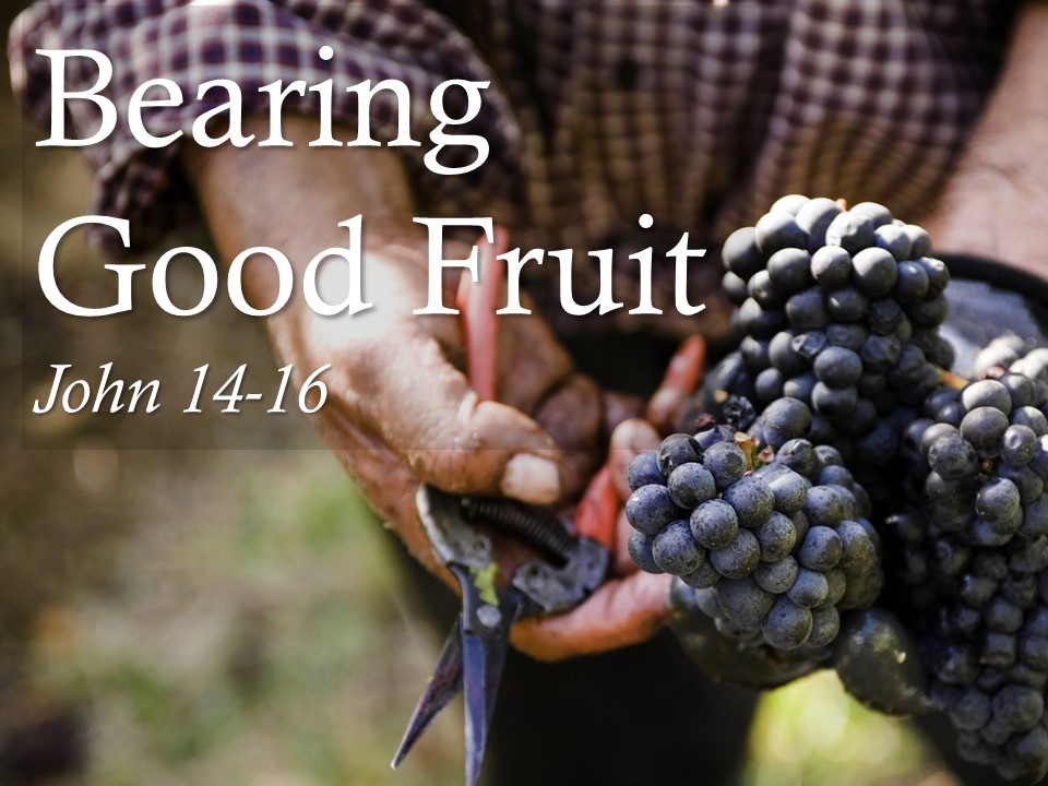 Bearing Good Fruit - 4 - 