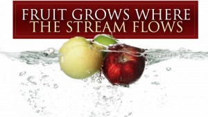 Fruit Grows Where the Stream Flows (title)